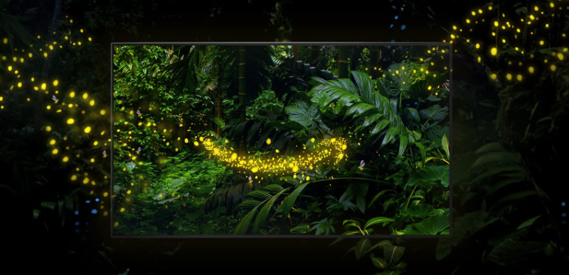 
									Redmi выпустит недорогой смарт-телевизор на операционной системе Fire OS
				
				
				
							